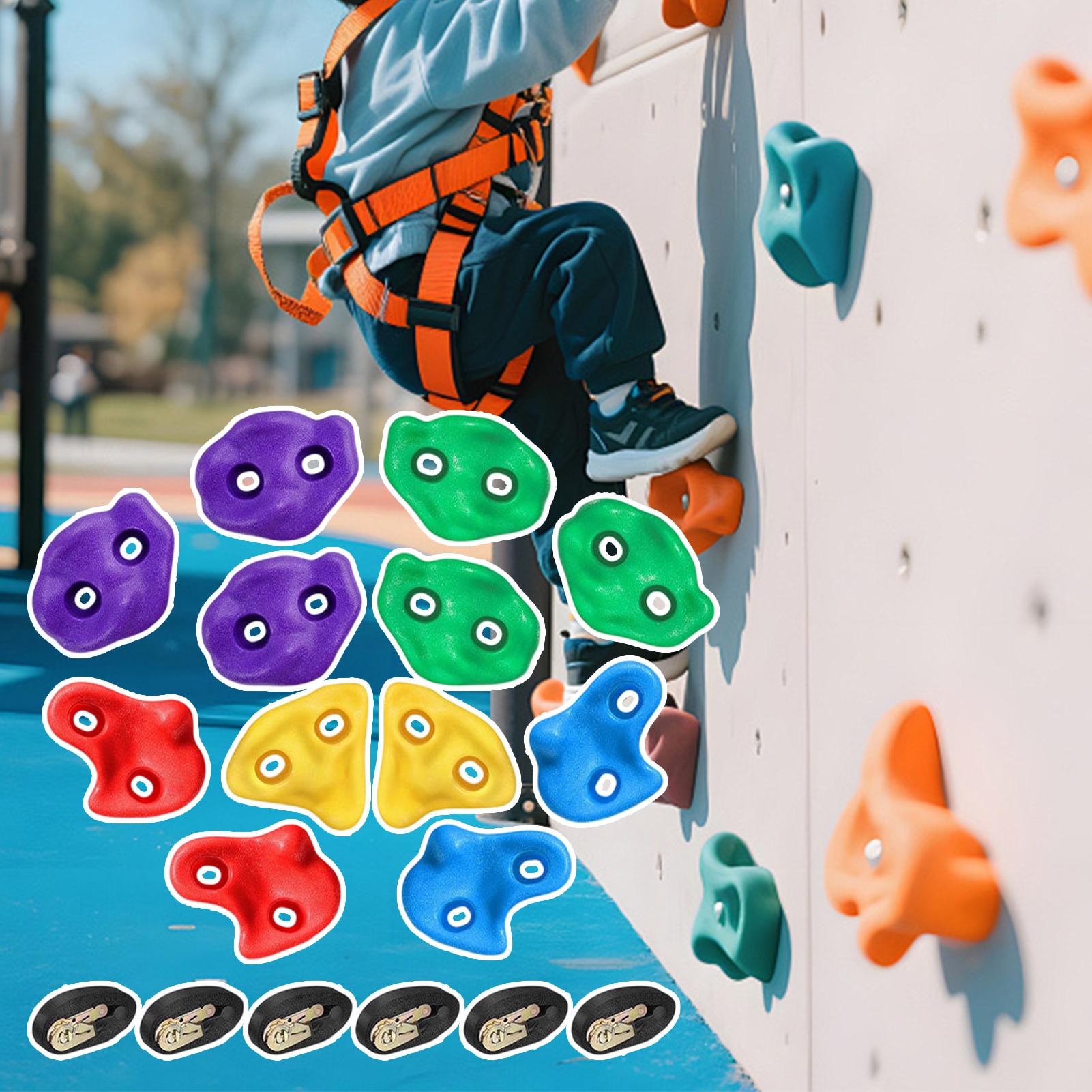 Equipo de escalada en árboles  - Heavy Equipment Course reseña y precio